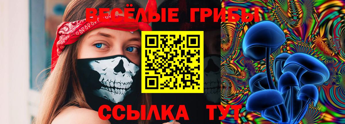 Мелеуз  Псилоцибиновые грибы GOLDEN TEACHER  Псилоцибиновые грибы Cubensis  Вход с VPN 